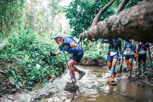 BIB: 
                            <button type="button" onclick="openModal(25373243)" class="btn btn-primary btn-sm float-right btn-popup" data-toggle="modal" data-target=".modal-high-quality">
                        <i class="fas fa-shopping-cart"></i> Add to Cart
                    </button>
                                            <button type="button" onclick="isThisMe(25373243, true)" class="btn btn-success btn-sm float-right btn-popup btn-isme hidden" data-toggle="tooltip" data-placement="bottom" title="นี่คือรูปของคุณใช่ไหม คลิกที่นี่เพื่อเอาเข้าอัลบั้ม">
                        <i class="fas fa-plus"></i> Add to album
                    </button>
                    <button type="button" onclick="isThisMe(25373243, false)" class="btn btn-warning btn-sm float-right btn-popup btn-isnotme hidden">
                        <i class="fas fa-ban"></i> Remove from album
                    </button>